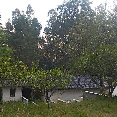 Quinta Los Eucaliptos Villa Quito Buitenkant foto