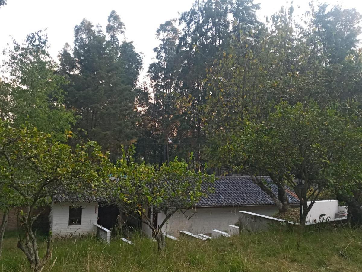 Quinta Los Eucaliptos Villa Quito Buitenkant foto